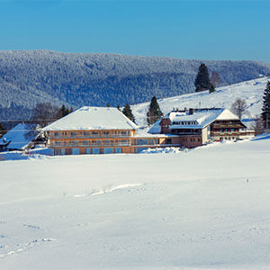 BREGGERS SCHWANEN Bernau